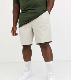 Светло-бежевые шорты-чиносы с логотипом Polo Ralph Lauren Big & Tall - Prepster-Светло-бежевый