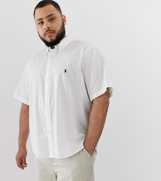 Белая легкая саржевая рубашка с короткими рукавами и логотипом Polo Ralph Lauren Big & Tall-Белый