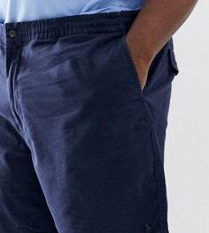 Темно-синие шорты-чиносы с логотипом Polo Ralph Lauren Big & Tall - Prepster-Темно-синий