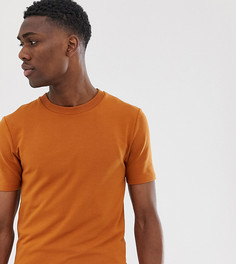 Обтягивающий свитшот красно-коричневого цвета с короткими рукавами ASOS DESIGN Tall-Коричневый