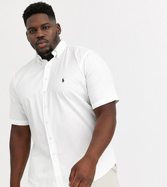 Белая легкая саржевая рубашка с короткими рукавами и логотипом Polo Ralph Lauren Big & Tall-Белый