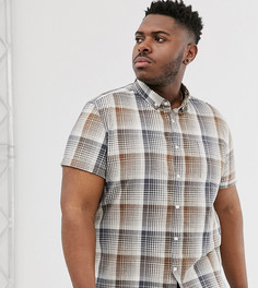 Коричнево-бежевая приталенная рубашка в клетку ASOS DESIGN Plus-Белый