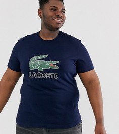 Темно-синяя футболка с большим логотипом Lacoste-Темно-синий