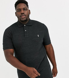 Черное поло из пике с логотипом Polo Ralph Lauren Big & Tall-Черный