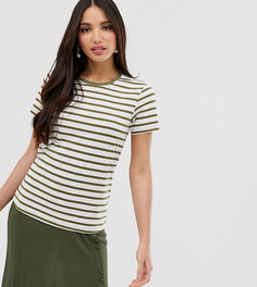 Футболка в полоску с круглым вырезом ASOS DESIGN Tall-Мульти