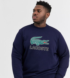 Темно-синий свитшот с круглым вырезом и логотипом Lacoste