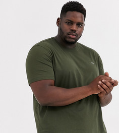 Зеленая футболка из хлопка пима с логотипом Lacoste-Зеленый