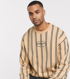 Свободный бежевый свитшот в полоску с принтом ASOS DESIGN Tall