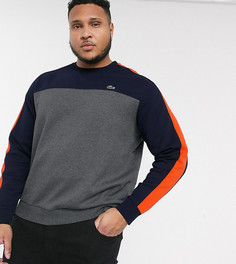 Свитшот с круглым вырезом Lacoste PLUS-Серый