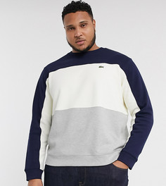 Свитшот с круглым вырезом Lacoste PLUS-Синий