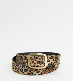Эксклюзивный ремень с леопардовым принтом и золотистой пряжкой My Accessories London Curve-Мульти