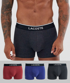 Набор из 3 эластичных хлопковых боксеров-брифов Lacoste Colours-Мульти