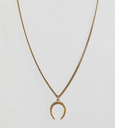 Позолоченное ожерелье с подвеской в виде подковы Regal Rose Betsy-Золотой