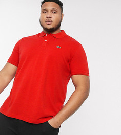 Футболка-поло с логотипом Lacoste PLUS-Красный
