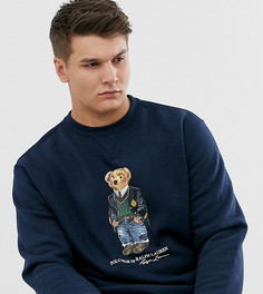 Темно-синий свитшот с принтом медведя Polo Ralph Lauren Big & Tall