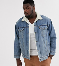 Светлая джинсовая куртка с подкладкой из искусственного меха Levis Big & Tall-Синий Levis®