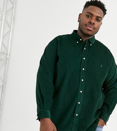Зеленая вельветовая рубашка классического кроя с воротником на пуговицах Ralph Lauren - Big & Tall (college)-Зеленый
