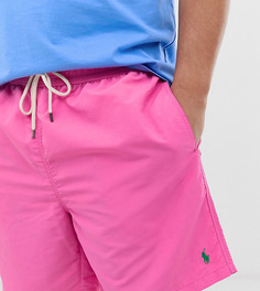 Розовые шорты для плавания Polo Ralph Lauren Big & Tall Traveler-Розовый