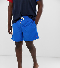 Синие шорты для плавания с логотипом Polo Ralph Lauren Big & Tall Traveler-Синий