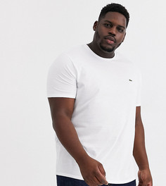 Белая футболка из хлопка пима с логотипом Lacoste-Белый