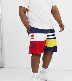 Пляжные шорты с полосками Polo Ralph Lauren Big & Tall Kailua-Мульти