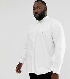 Белая оксфордская рубашка на пуговицах классического кроя с логотипом Ralph Lauren Big & Tall-Белый