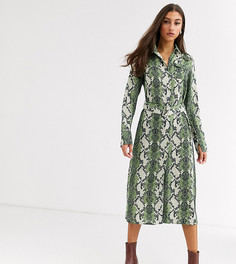Платье-рубашка миди с броским змеиным принтом Glamorous Tall-Зеленый