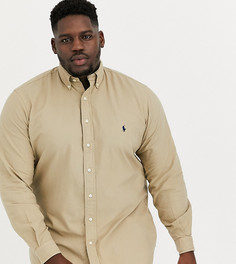 Оксфордская рубашка на пуговицах классического кроя с логотипом Ralph Lauren Big & Tall-Светло-коричневый