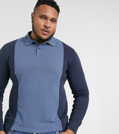 Футболка-поло с длинными рукавами Lacoste PLUS-Синий