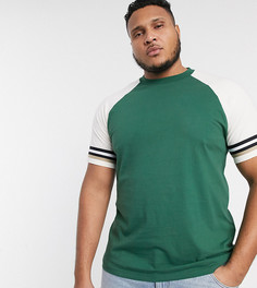 Зеленая футболка с рукавами реглан ASOS DESIGN Plus-Зеленый