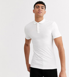Белое трикотажное поло из органического хлопка ASOS DESIGN Tall-Белый