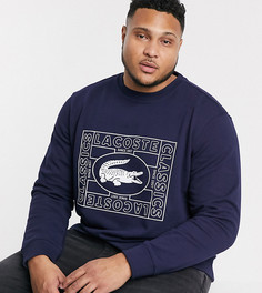 Темно-синий свитшот с логотипом Lacoste