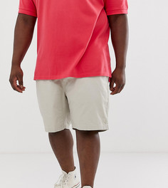 Светло-бежевые шорты-чиносы с логотипом Polo Ralph Lauren Big & Tall - Prepster-Светло-бежевый