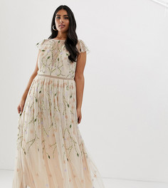 Сетчатое платье макси с цветочной вышивкой и пайетками ASOS DESIGN Curve-Мульти