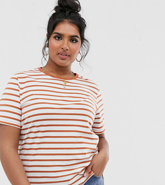 Футболка в полоску с круглым вырезом ASOS DESIGN Curve-Мульти