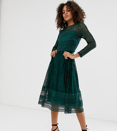 Кружевное приталенное платье миди премиум-класса ASOS DESIGN Tall-Зеленый