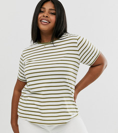 Футболка в полоску с круглым вырезом ASOS DESIGN Curve-Мульти