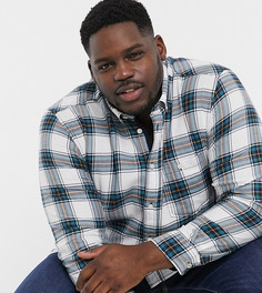 Темно-синяя рубашка в клетку Tom Tailor Plus-Темно-синий