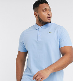 Футболка-поло с логотипом Lacoste PLUS-Синий