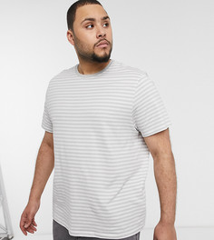 Светло-серая футболка в полоску New Look PLUS-Серый