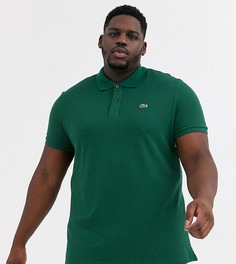 Зеленая узкая футболка-поло из пике Lacoste-Зеленый