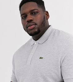 Серая облегающая футболка-поло Lacoste-Серый