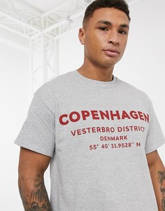 Серая футболка с принтом "Copenhagen" New Look-Серый