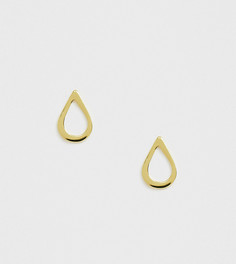 Серьги-подвески из позолоченного серебра ASOS DESIGN-Золотой