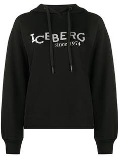 Iceberg E04163029000