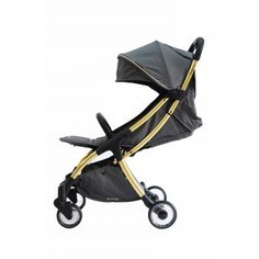 Прогулочная коляска Ryan Prime Light Gold special edition, Rich Gray, серый