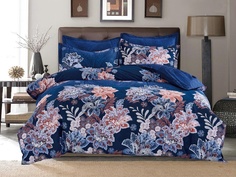 Постельное белье Cleo Satin Lux 41/472-SL Комплект Дуэт Сатин