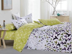 Постельное белье Cleo Satin Lux 41/461-SL Комплект Дуэт Сатин