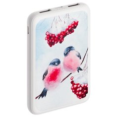 Аккумулятор Deppa NRG Art 5000