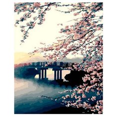 Paintboy Картина по номерам